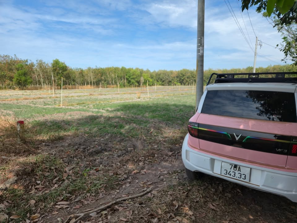 Đất thổ cư Tân Hội 20.000m² giá 2.5 tỷ - Mặt tiền rộng, đầu tư sinh lời!