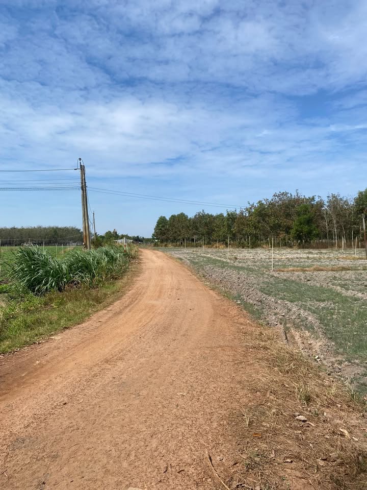 Đất thổ cư Tân Hội 20.000m² giá 2.5 tỷ - Mặt tiền rộng 100m