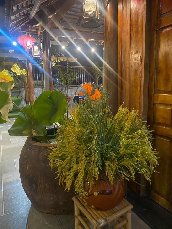 Đất thổ cư 185m² hẻm 3 đường Võ Thị Sáu, Tây Ninh - Giá tốt, chính chủ!