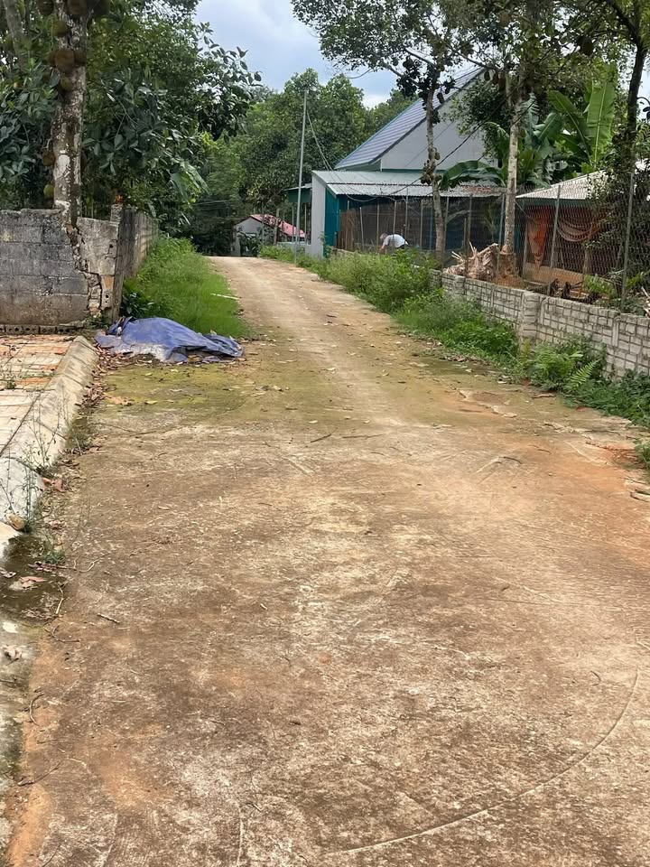 Đất nền Thọ Tân, Triệu Sơn 150m² giá chỉ 2xx triệu - Sổ hồng chính chủ!