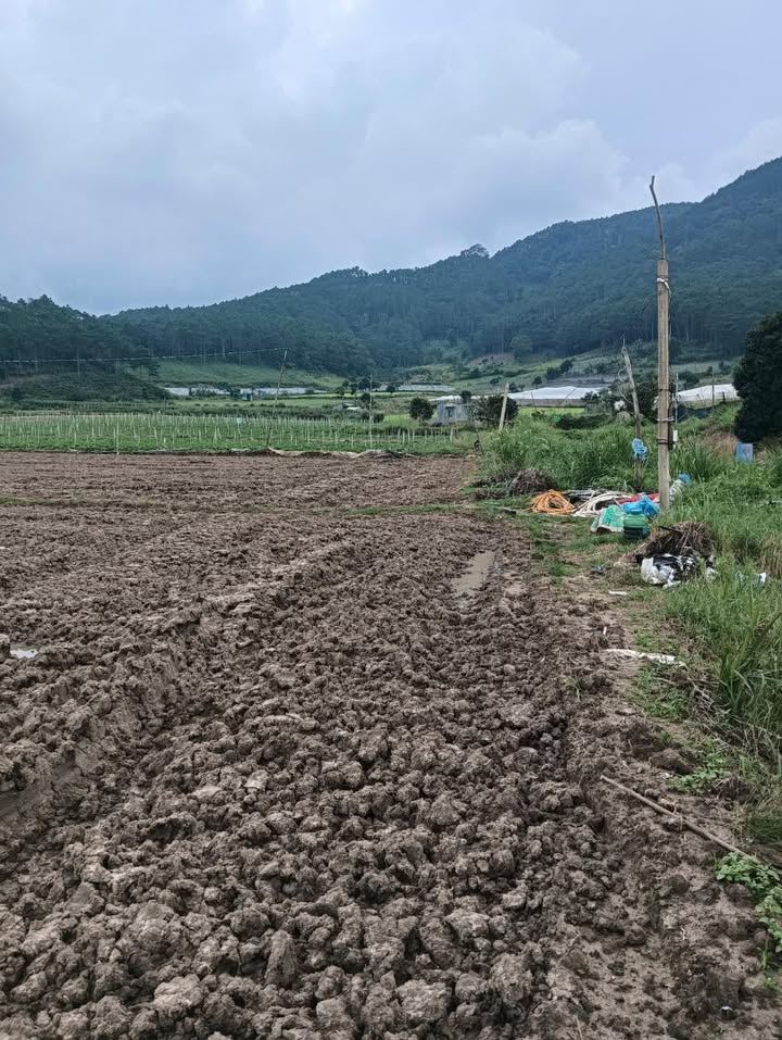 Đất nền Ka Đơn Đơn Dương 1080m² giá 900 triệu - Cơ hội đầu tư hấp dẫn!