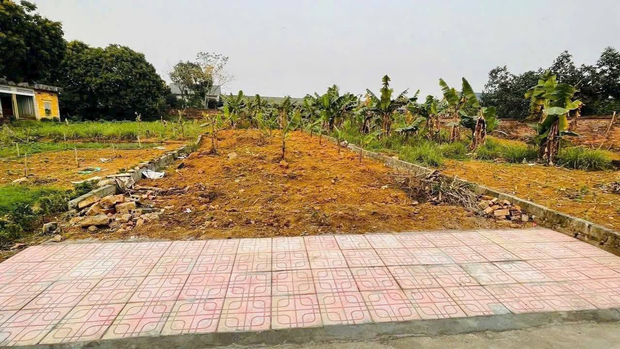 Đất nền Phú Cát Quốc Oai 311m² giá 3.11 tỷ - Đầu tư sinh lời ngay!