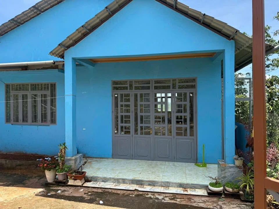 Đất nền 7200m² tại thôn 9, Nam Bình, Đắk Song - Giá chỉ 950 triệu!