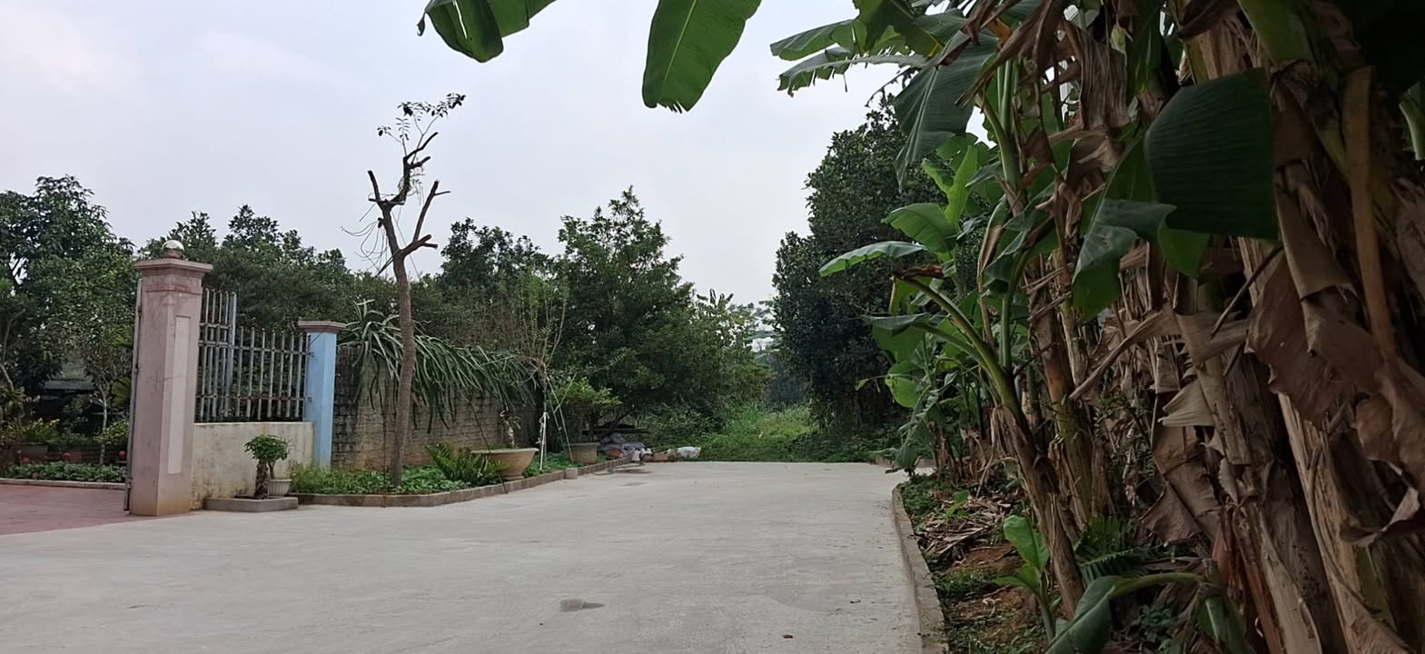 Đất thổ cư 200m² tại Phú Lộc, Phù Ninh - Giá chỉ 1 tỷ