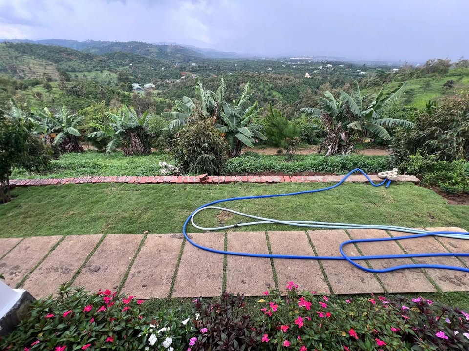 Nhà vườn Tân Lạc 1.825m² giá 2.4 tỷ - View đồi đẹp, sẵn ở ngay!