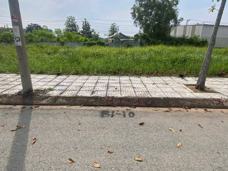 Đất mặt tiền đường nhựa Đức Hòa Đông, Long An 100m² giá 1.15 tỷ - Thương lượng tốt!