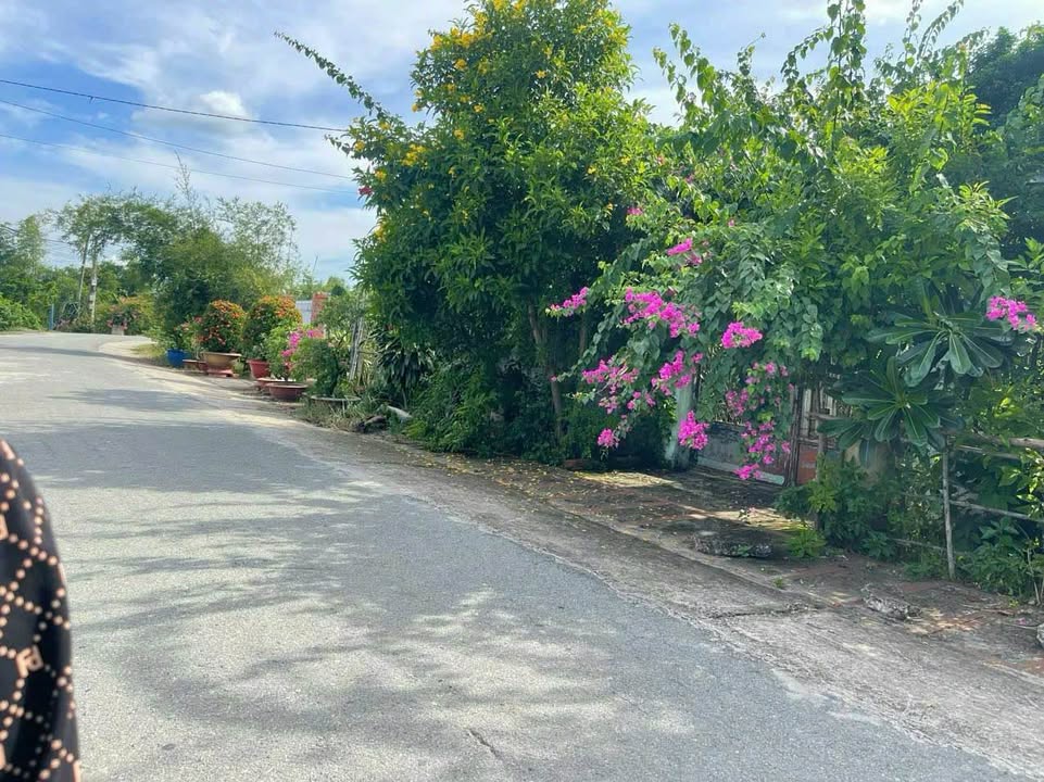 Đất Thái Mỹ Củ Chi 308m² giá 2.5 tỷ - Mặt tiền đường nhựa thuận tiện!