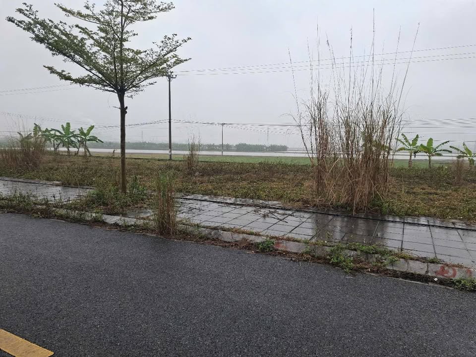 Đất nền Dân Quyền Tam Nông 80m² - Vị trí đẹp, tiềm năng đầu tư!