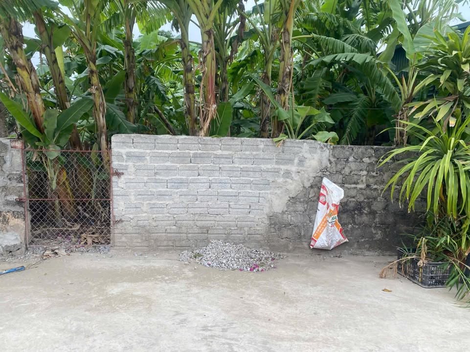 Đất nền xóm 5 Nga An 174m² giá 1.3 tỷ - Vị trí đẹp, đầu tư sinh lời!