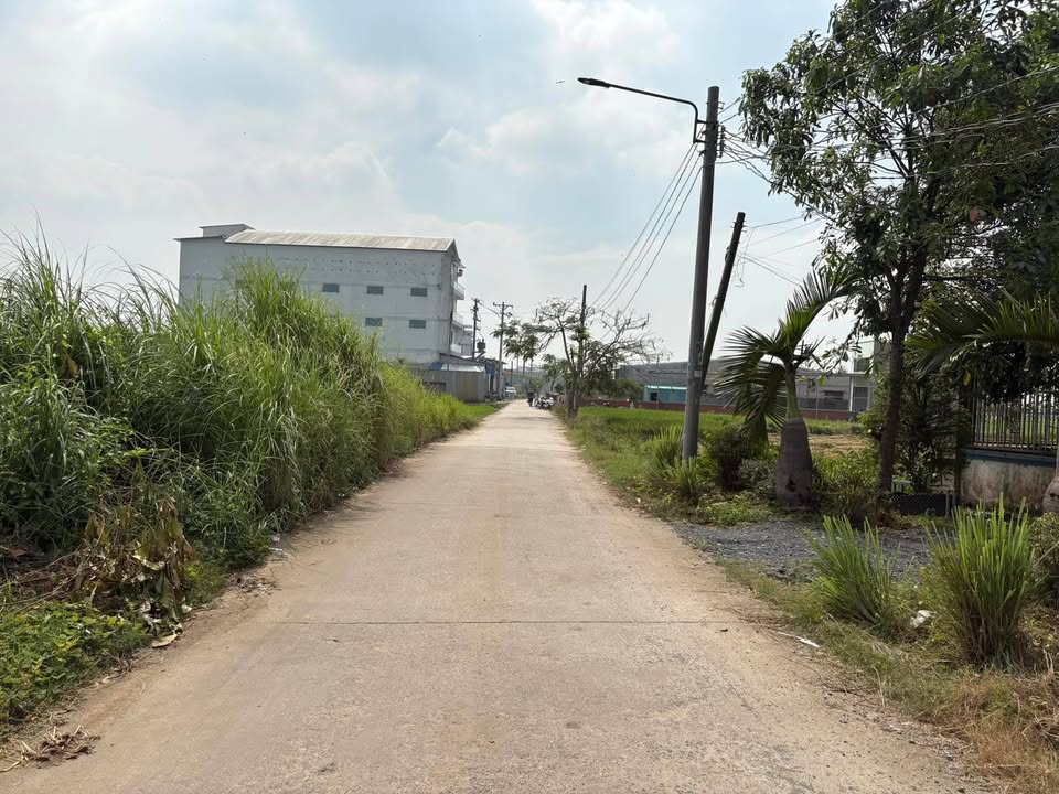 Đất thổ cư 243m² mặt tiền Liên ấp 4-6, Mỹ Yên, Bến Lức - Giá chỉ 2.5 tỷ!