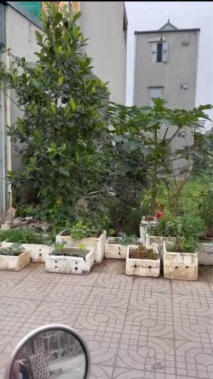 Đất nền phường Hoa Lư, Ninh Bình 100m² giá 4.5 tỷ - Đầu tư tiềm năng ngay bên trường cấp 2!