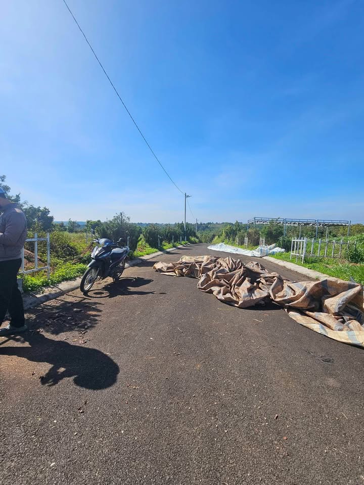 Đất nền Lộc An Bảo Lâm 135m² chỉ 479 triệu - Cơ hội vàng cho nhà đầu tư!