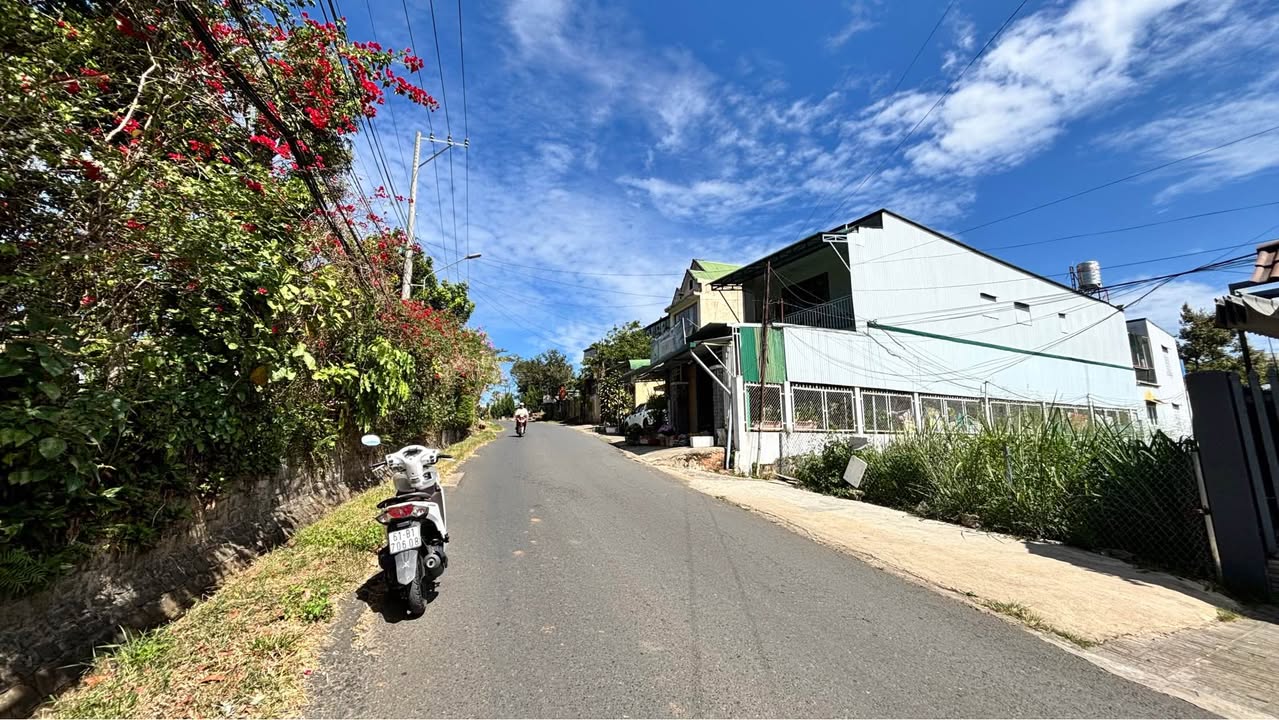 Nhà Farm mặt tiền đường Lam Sơn, Bảo Lộc 1952m² giá 12 tỷ - Tiềm năng phát triển lớn!