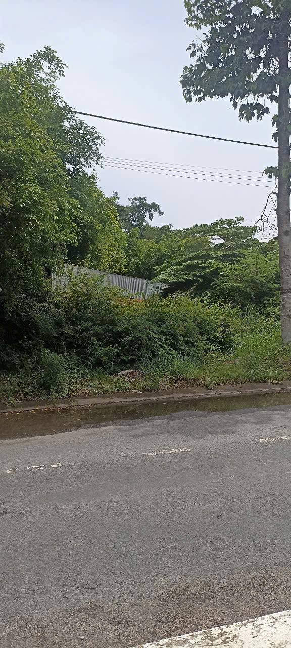 Đất mặt tiền Tỉnh lộ 942, Chợ Mới, An Giang 935m² - Giá tốt cho kinh doanh