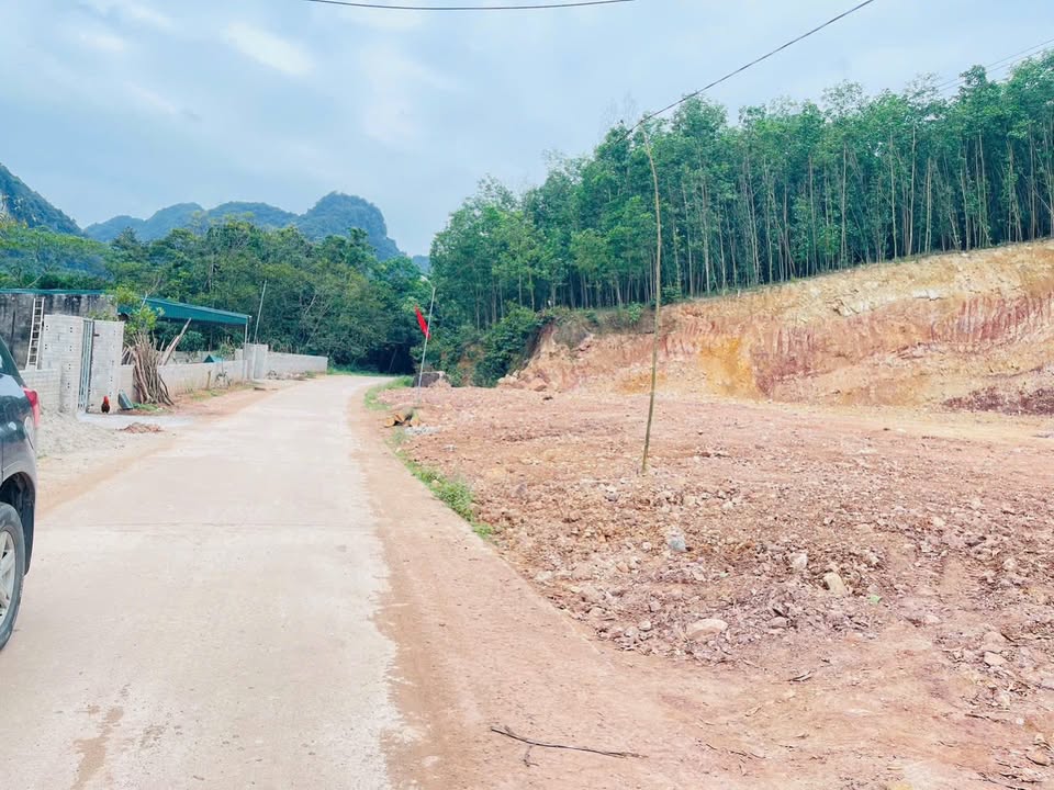 Đất nền mặt đường liên xã Bảo Hiệu 1454m² giá 1.5 tỷ - Tiềm năng đầu tư cao!