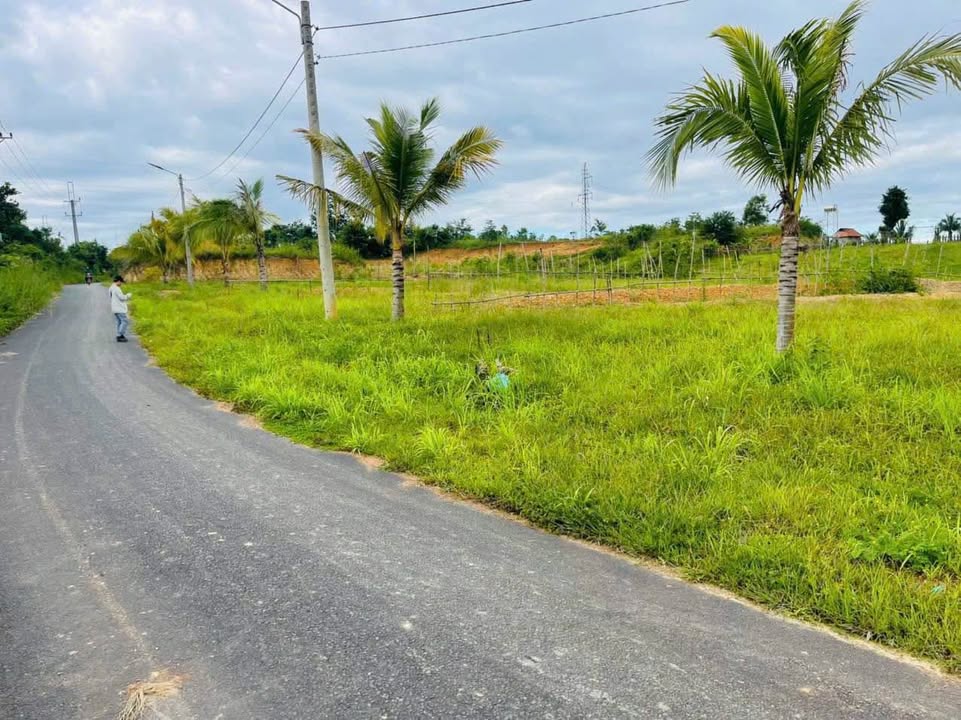 Lô đất Trúc Sơn, huyện Cư Jút 1200m² - Sổ hồng riêng, giá thỏa thuận!
