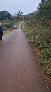 Đất nông nghiệp 8 sào tại xã Đồng Nai, Bình Phước - Giá chỉ 1 tỷ