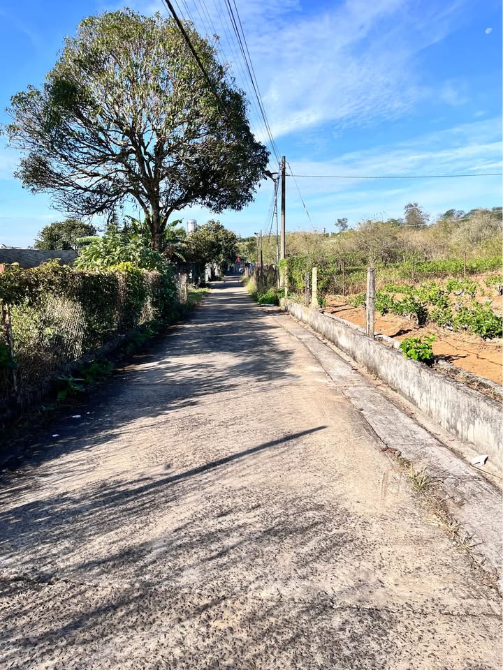 Đất nghỉ dưỡng Hẻm 96 Lý Thái Tổ, Bảo Lộc 569m² giá 3.2 tỷ - Tiềm năng phát triển cao!