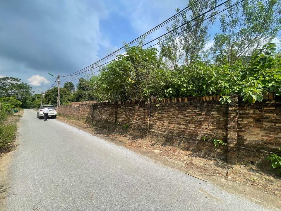 Đất nền TDP Tấm, Định Trung, Vĩnh Yên 379m² giá 3.79 tỷ - Mặt tiền rộng, vị trí đắc địa!