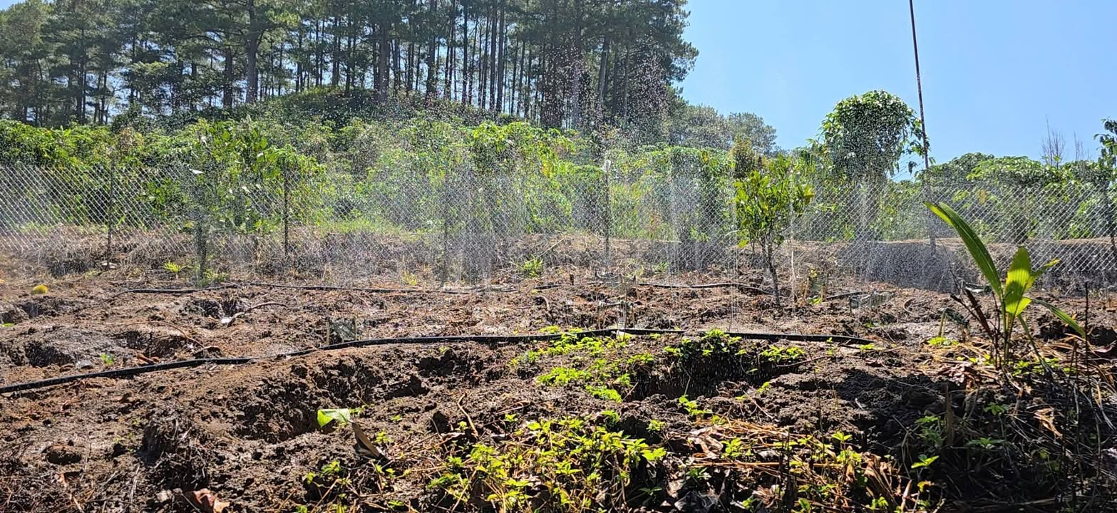 Đất Phú Sơn 2000m² giá 600 triệu - Đầu tư sinh lời hấp dẫn!