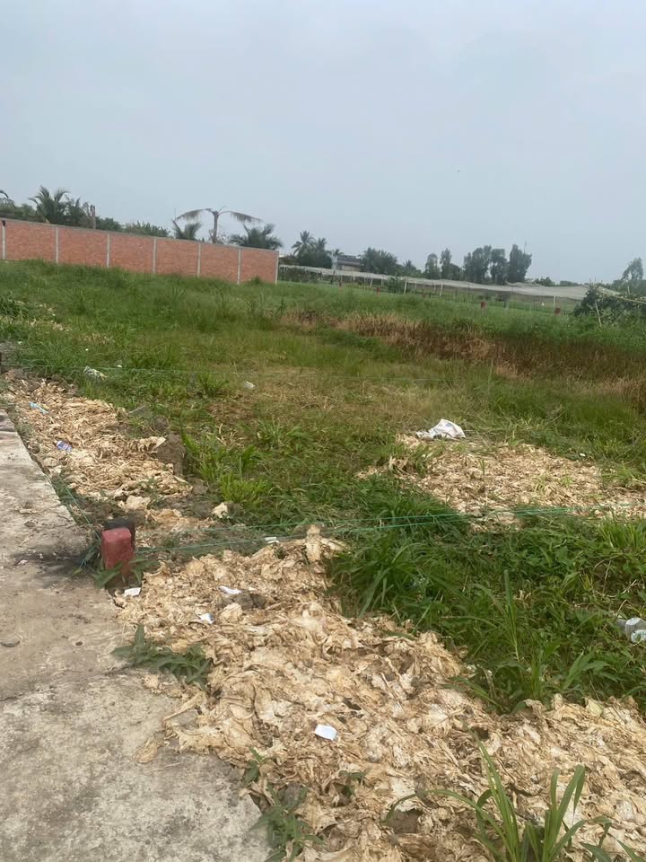 Đất nền Gò Công Đông 125m² giá 298 triệu - Đầu tư sinh lời ngay!