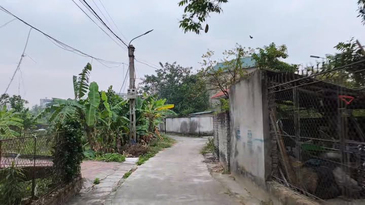 Đất thổ cư thôn Đan Loan, xã Nhân Quyền 220m² giá 3.3 tỷ - Vị trí đắc địa gần đường cao tốc