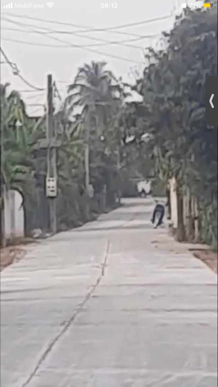 Đất thổ cư Hảo Đước 1225m² giá chỉ 48 triệu/m² - Cơ hội đầu tư tuyệt vời!