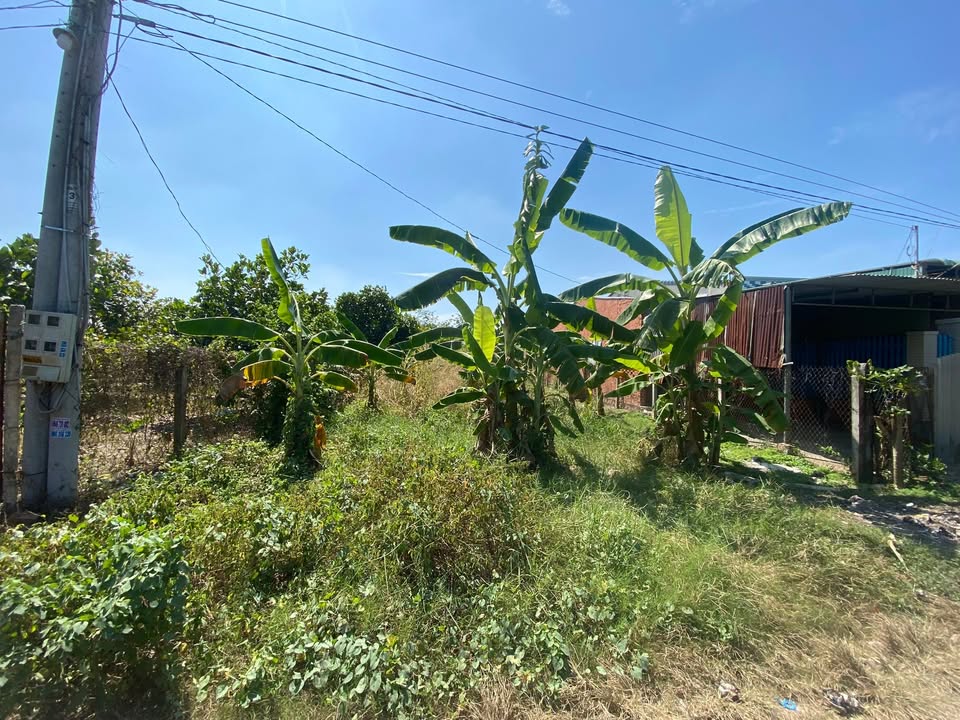 Đất nền 280m² tại Hòa Thành Tây Ninh - Đường nhựa 500m, giá 35 tỷ