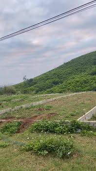 Đất nền Nghĩa Lạc 280m² giá chỉ 400 triệu - Cơ hội đầu tư không thể bỏ lỡ!