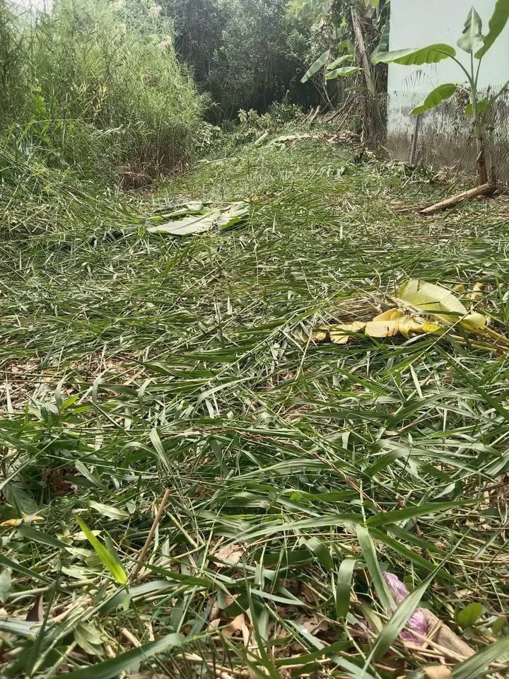 Đất nền Bùi Hữu Nghĩa, Cao Lãnh, 150m² - Giá chỉ 620 triệu, thương lượng ngay!