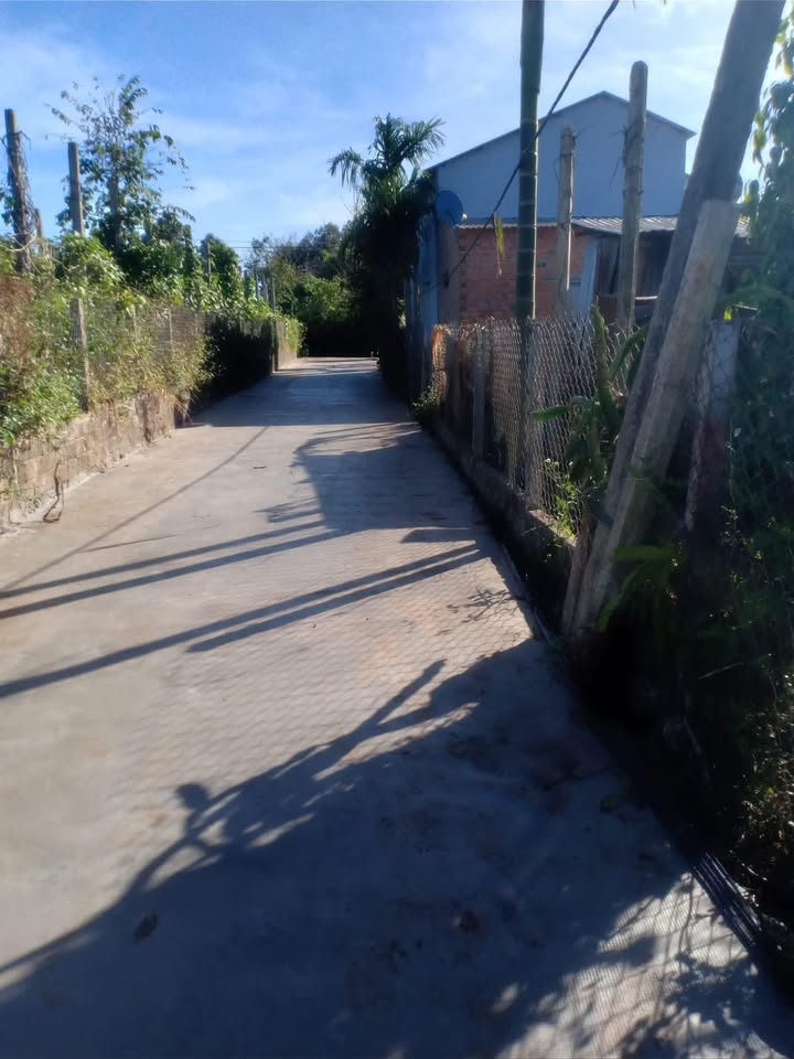 Đất thổ cư 260m² Tân Bình, Đak Đoa giá chỉ 500 triệu - Cơ hội đầu tư tuyệt vời!