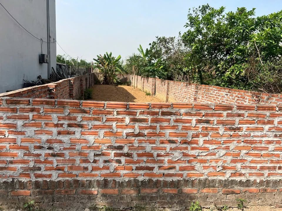 Đất nền lô góc 107m² tại Mai Đình - Vị trí đắc địa, cơ hội vàng cho nhà đầu tư!