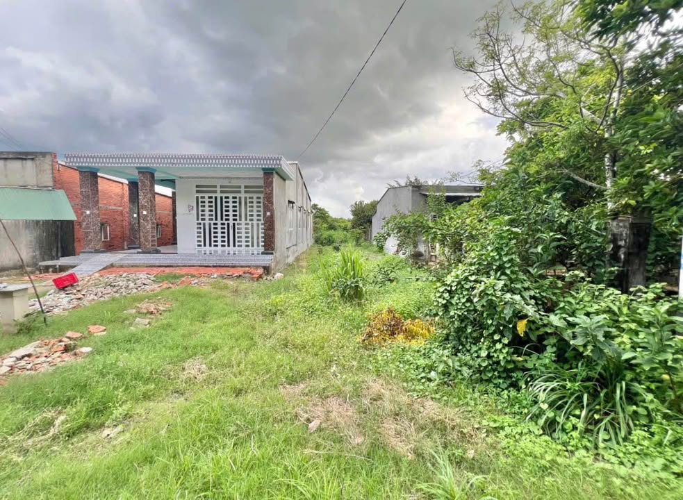 Đất mặt tiền đường nhựa Phước Thạnh Gò Dầu 222m² giá chỉ 650 triệu - Cơ hội đầu tư hiếm có!