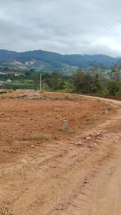 Farm cho thuê tại Lâm Hà 8000m² giá 60 triệu/năm - Đường đi dân sinh, tiện ích tự nhiên!