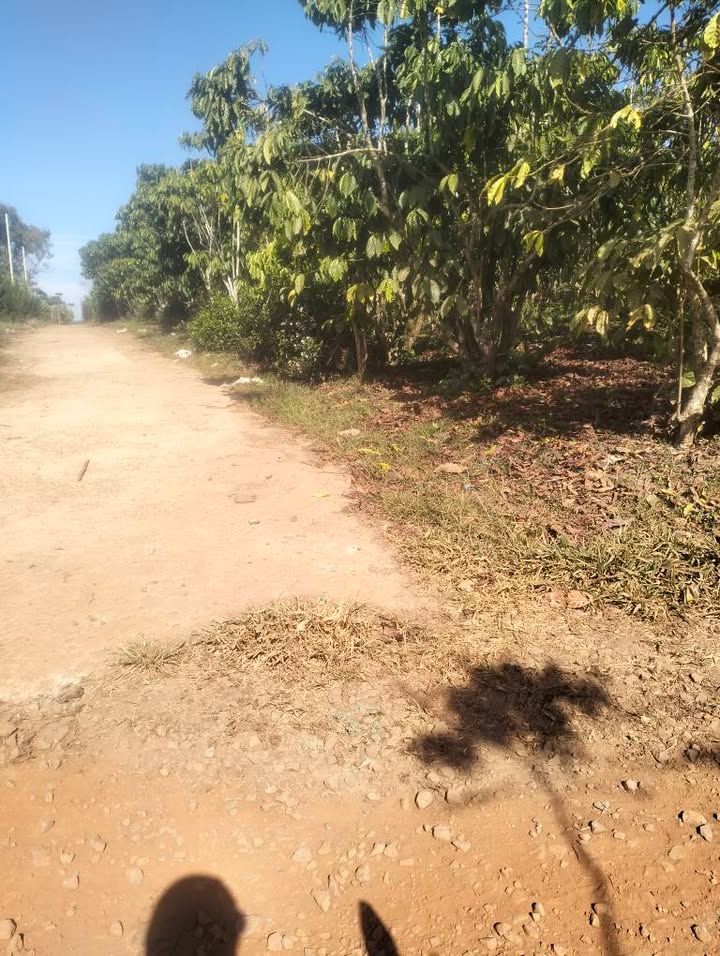 Đất Bảo Lâm Lâm Đồng 54000m² giá 3.85 tỷ - Đầu tư sinh lời với 2 mặt đường!