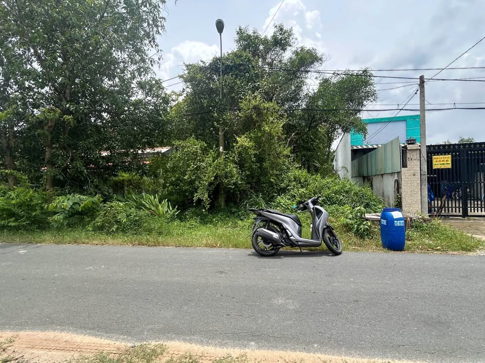 Đất nền Củ Chi 300m² giá 2.3 tỷ - Mặt tiền Trương Thị Kiện, xây dựng tự do!