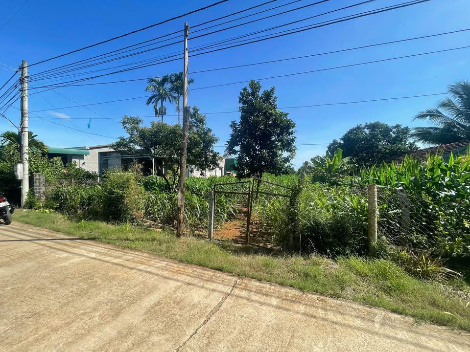 Đất nền Tâm Thắng, Cư Jút 1260m² giá chỉ 120 triệu - Cơ hội đầu tư hấp dẫn!