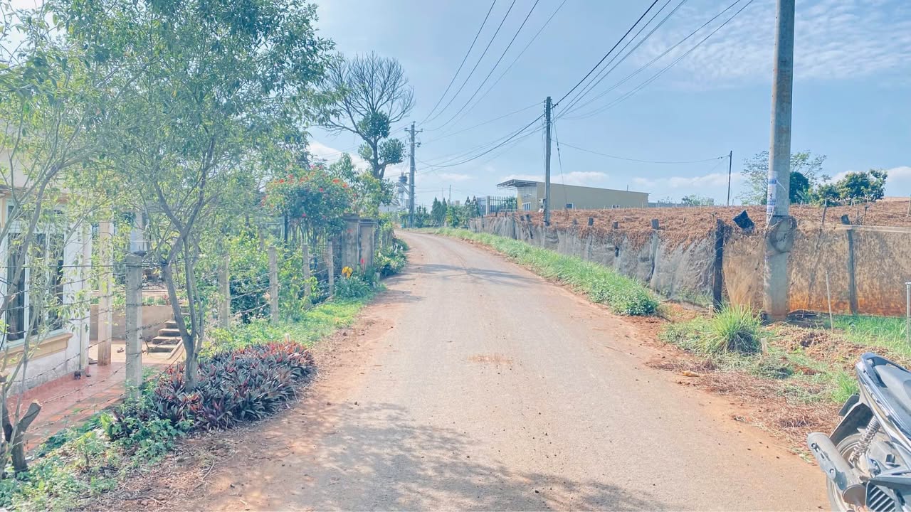 Đất thổ cư 246m² Phú Hội, Đức Trọng - Gần QL20, chỉ 2 tỷ!