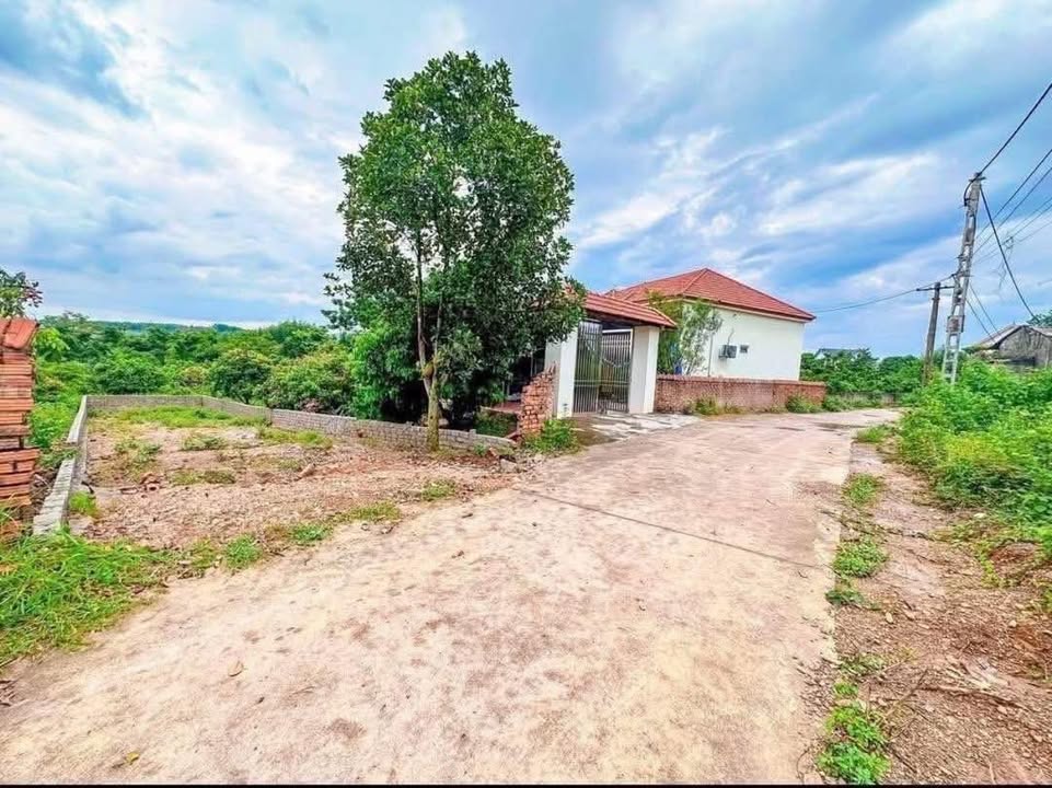 Đất nền Tam Dị, Lục Nam, Bắc Giang 130m² giá chỉ vài trăm triệu - Đầu tư sinh lời hấp dẫn!