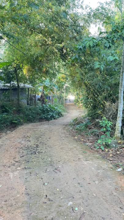 Đất nông nghiệp 10ha Nhật Sơn, Kim Bôi – 500m² thổ cư giá chỉ 3,6 tỷ!