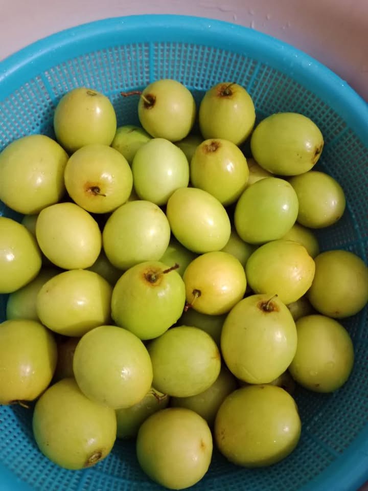 Đất Hồng Thái An Dương 71.6m² giá 1.5 tỷ - Sổ đỏ chính chủ, vị trí thuận lợi!