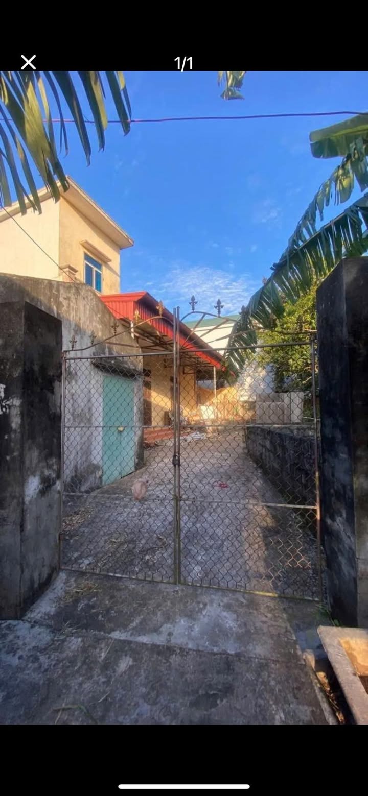 Đất nền Phong Châu, Đông Hưng, Thái Bình 365m² giá 400 triệu - Cơ hội đầu tư hấp dẫn!