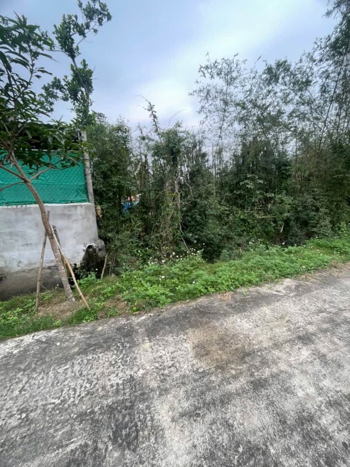 Bán đất Nghi Trung, Nghi Lộc 312m² giá 2 tỷ - Đầu tư sinh lời bền vững!