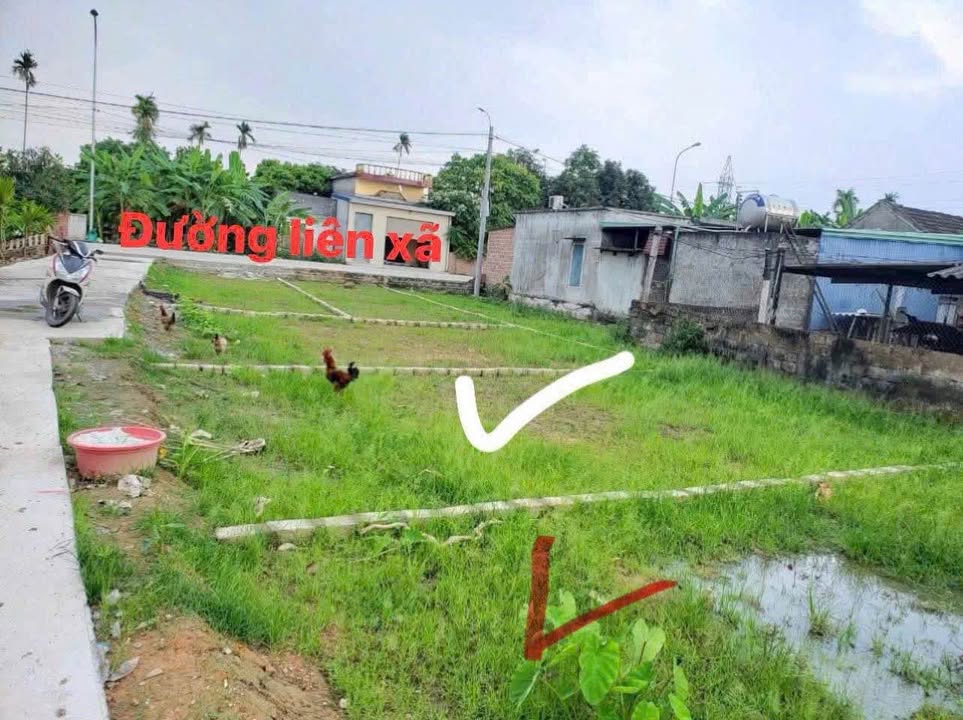 Đất nền Cao Nhân, Thủy Nguyên 60.5m² giá 800 triệu - Sổ đỏ rõ ràng