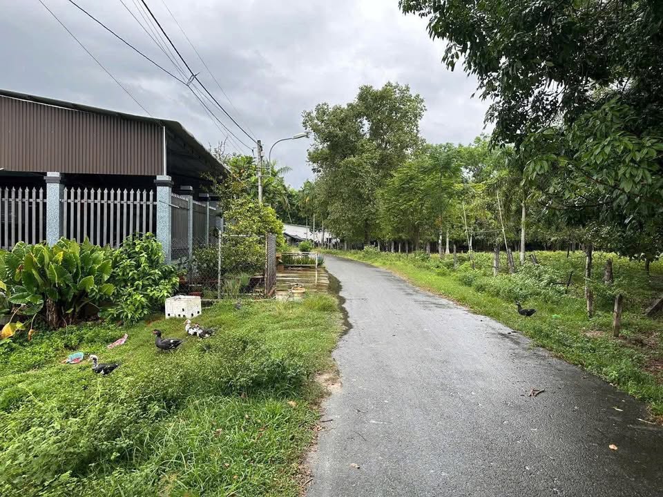 Đất Thái Mỹ, Củ Chi 929m² giá 2.6 tỷ - Sổ đỏ chính chủ, cơ hội đầu tư hấp dẫn!