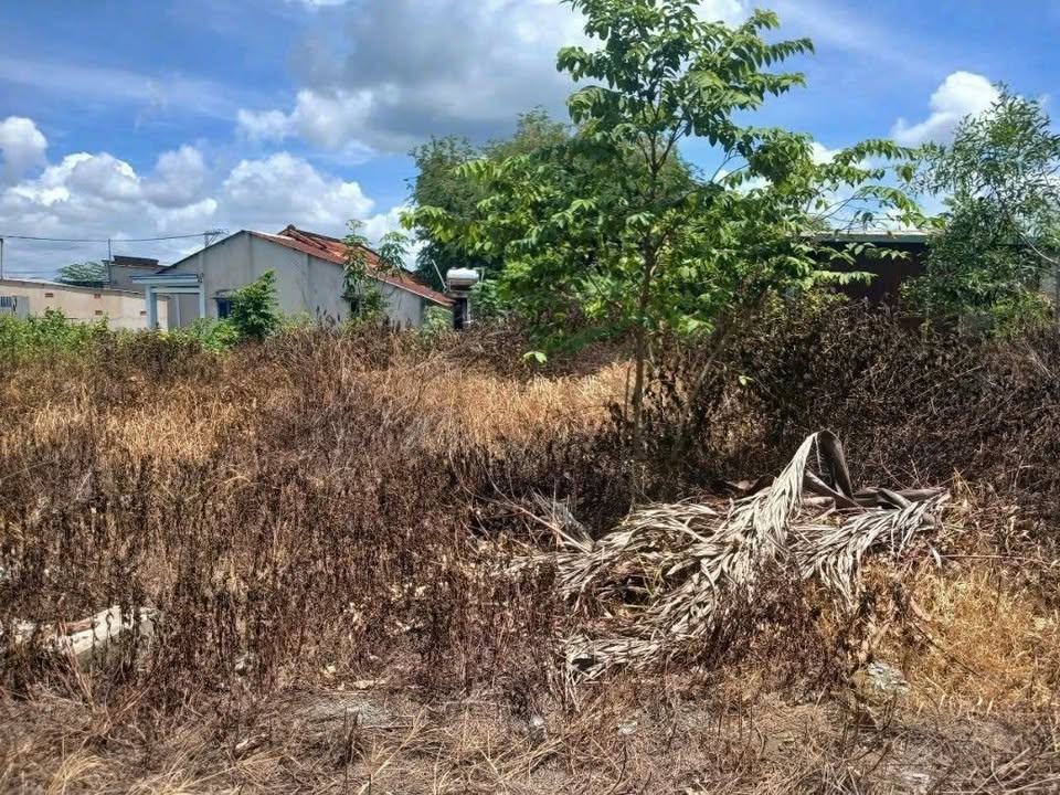 Đất nền Tân Thạnh Đông, Củ Chi 121,9m² giá 2 tỷ - Sổ đỏ chính chủ, xây dựng tự do!