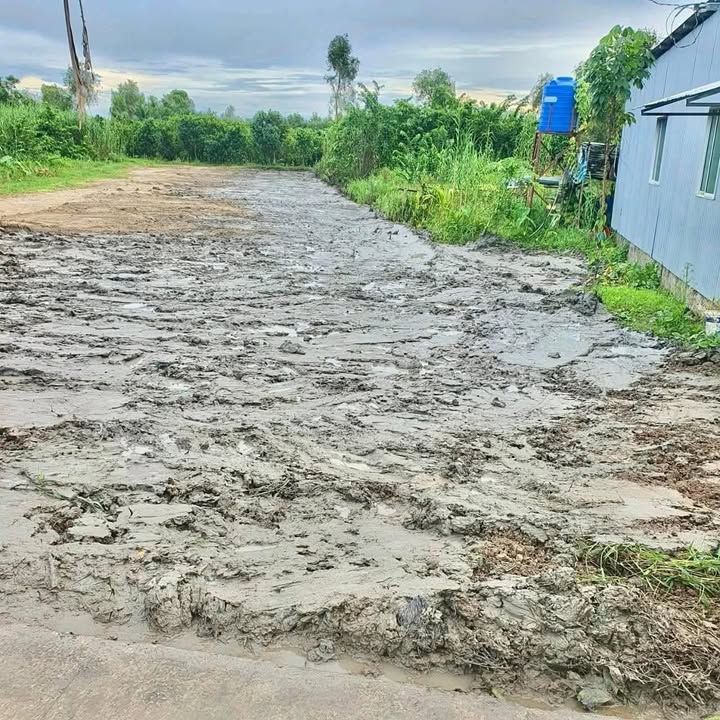 Đất nền thổ cư Hiệp Lợi 324m² giá 750 triệu - Đầu tư sinh lời ngay!