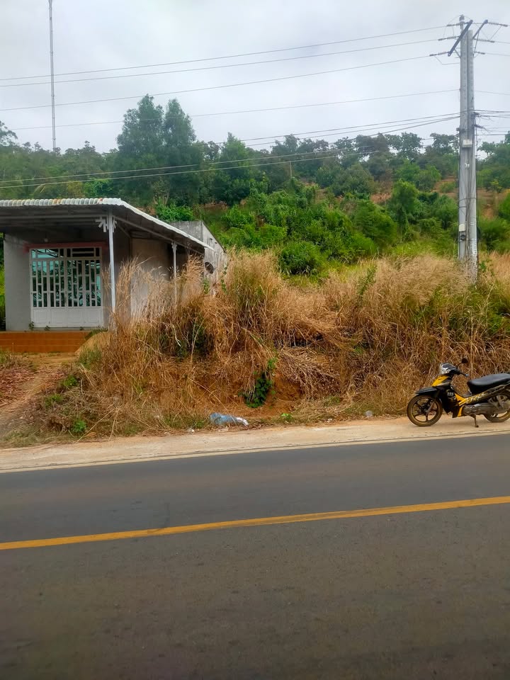 Đất nền dốc 288m² tại Bình Minh, Bù Đăng chỉ 490 triệu - Cơ hội đầu tư tuyệt vời!