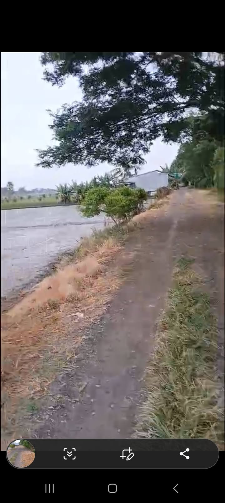 Đất nông nghiệp Vĩnh Nhuận, Châu Thành, An Giang 23.000m² giá 3.8 tỷ - Cơ hội đầu tư hấp dẫn!