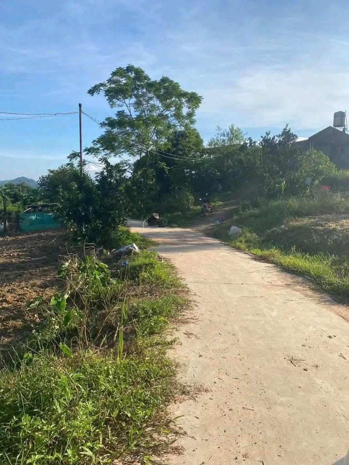 Đất thổ cư Phúc Xuân Thái Nguyên 100m² giá chỉ 600 triệu - Đầu tư sinh lời ngay!